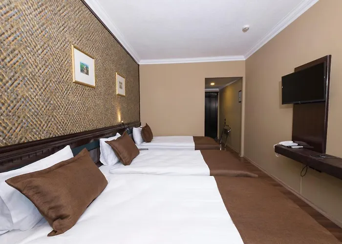 Balikcilar 4* קוניה